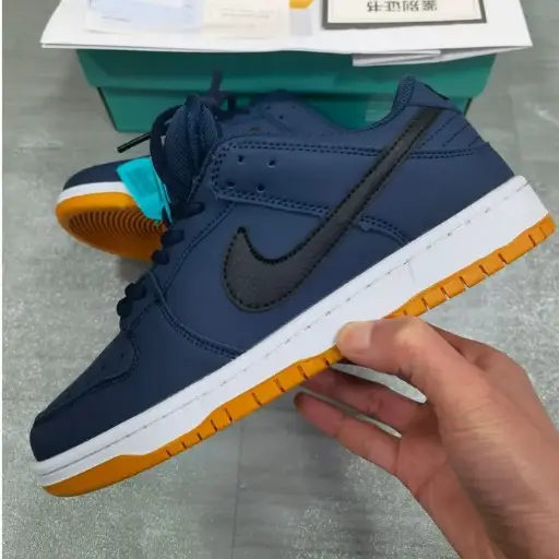 SB Dunk Low Pro